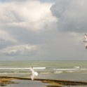 2008-09-iledere-OK (48)